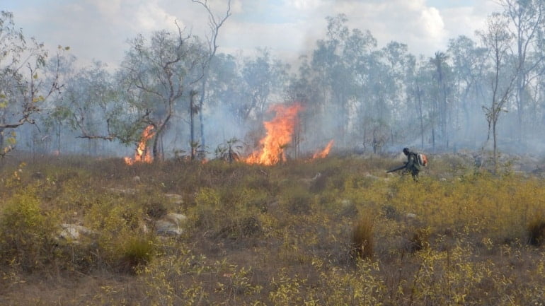 Arnhem Land Fire Abatement - Australia's carbon market